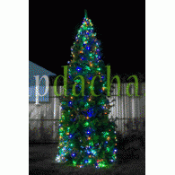 Новогоднее освещение «Динамика» Новогоднее освещение «Динамика»